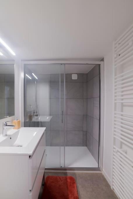 Appartement Cosy Hyper Centre Epinal Bagian luar foto